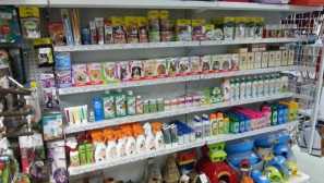 Blcha šampón pre domáce zvieratá: ktorý z nich vyberiete a ako používať